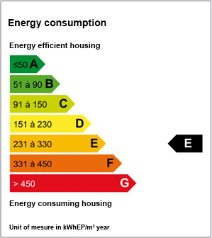 Energy consumption: E