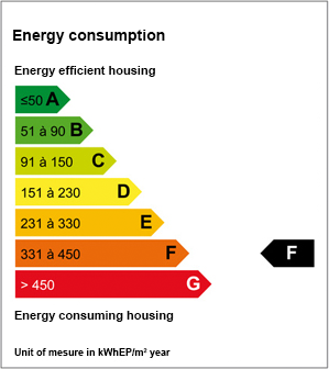 Energy consumption: F